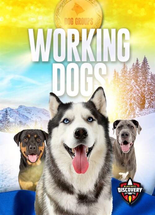 Working Dogs (Library Binding)