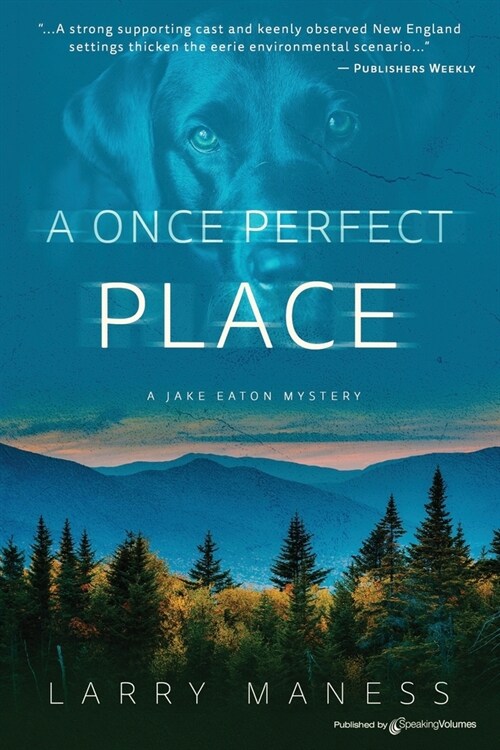 A Once Perfect Place (Paperback)