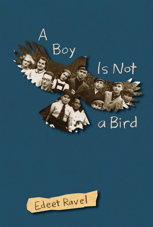 A Boy Is Not a Bird (Paperback)