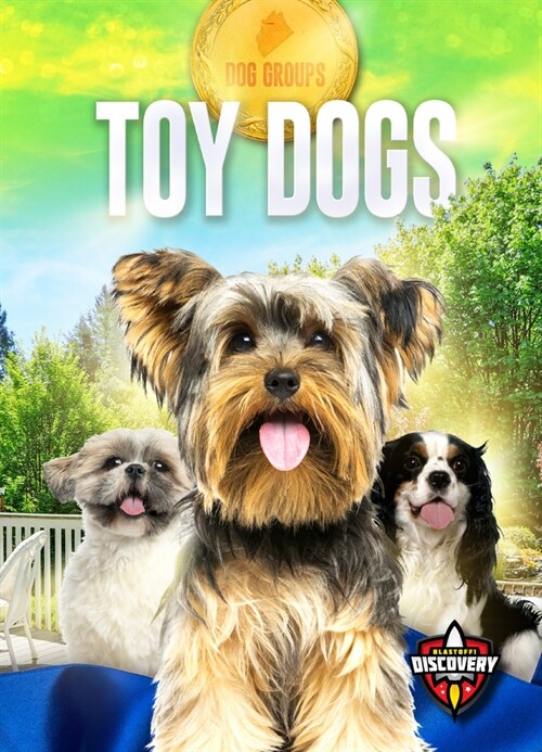 Toy Dogs (Library Binding)