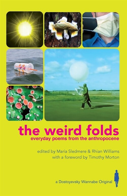 The Weird Folds : Everyday Poems from the Anthropocene (Paperback)