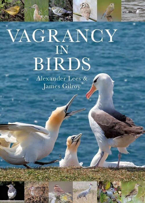 Vagrancy in Birds (Hardcover)