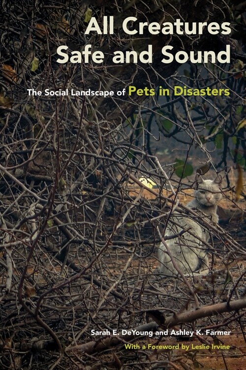 All Creatures Safe and Sound: The Social Landscape of Pets in Disasters (Paperback)