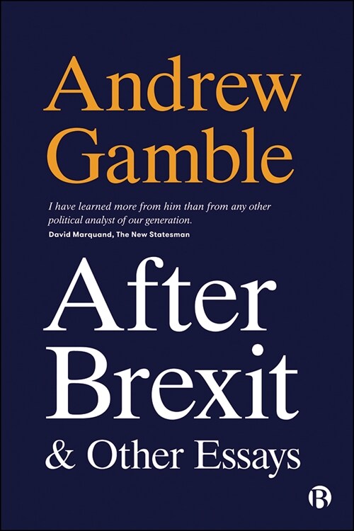 After Brexit and Other Essays (Hardcover)