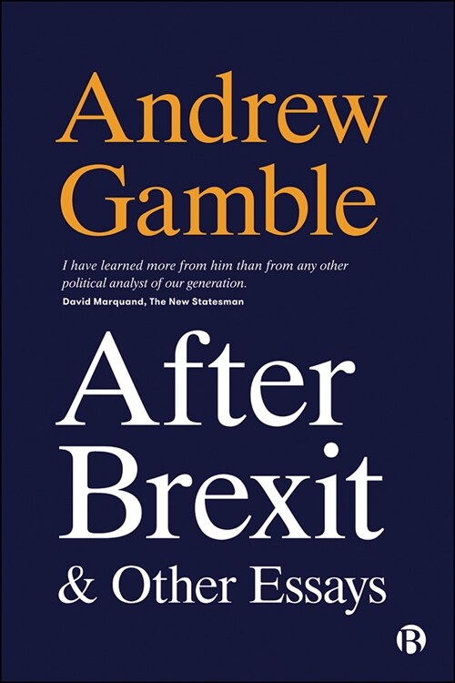 After Brexit and Other Essays (Paperback)