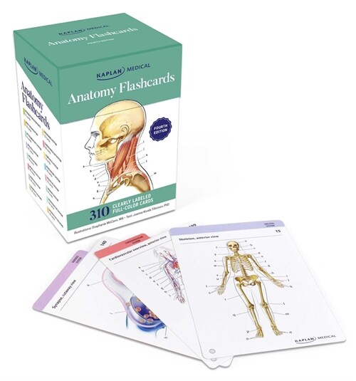 Anatomy Flashcards: 300 Flashcards with Anatomically Precise Drawings and Exhaustive Descriptions + 10 Customizable Bonus Cards and Sorting Ring for C (Other, 4)