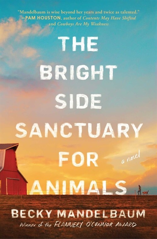 The Bright Side Sanctuary for Animals (Paperback)