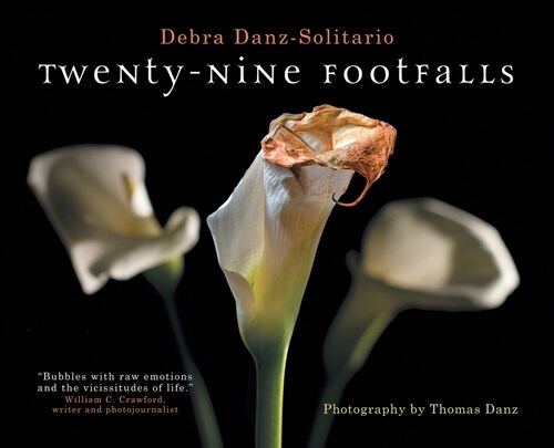 Twenty-Nine Footfalls (Hardcover)