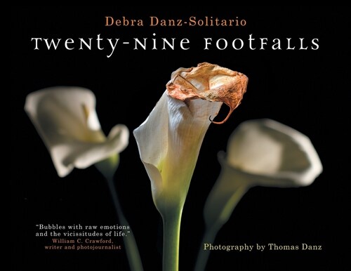 Twenty-Nine Footfalls (Paperback)