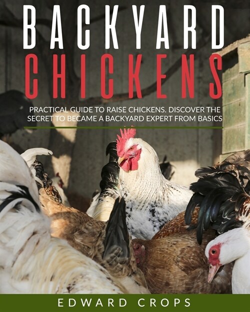 Backyard Chickens: Practical Guide to Raise Chickens. Discover the Secret to Became a Backyard Expert from Basics. (Paperback)