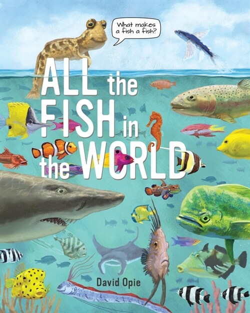 All the Fish in the World (Hardcover)