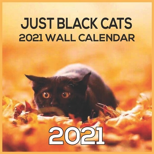 BLACK CATS 2021 Wall Calendar: Just Black Cats 16 Months Calendar 8.5 x 8.5 Glossy Paper (Paperback)