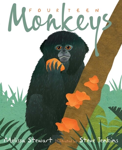 Fourteen Monkeys: A Rain Forest Rhyme (Hardcover)