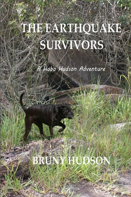 The Earthquake Survivors: A Hobo Hudson Adventure (Paperback)