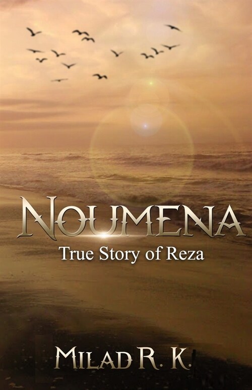 Noumena: True Story of Reza (Paperback)