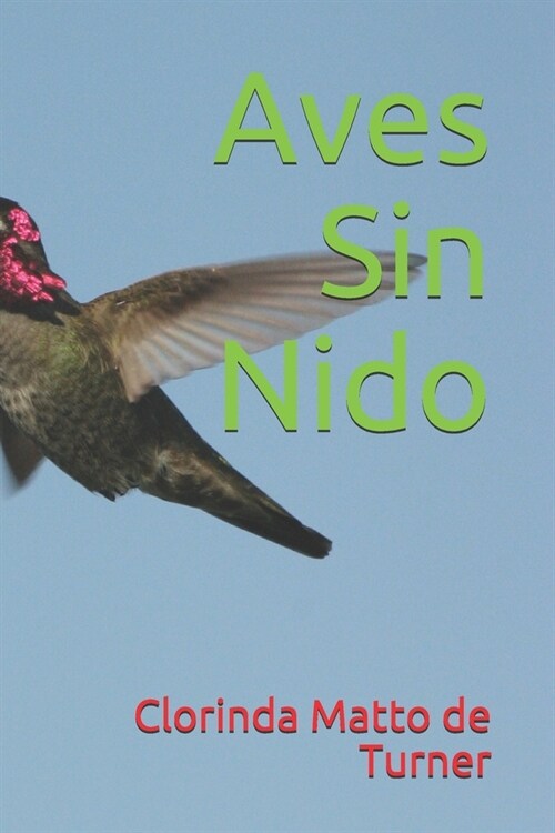 Aves Sin Nido (Paperback)
