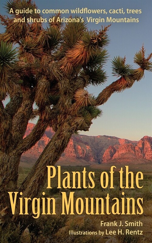 Plants of the Virgin Mountains (Paperback)