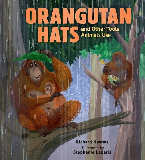 Orangutan Hats and Other Tools Animals Use (Hardcover)