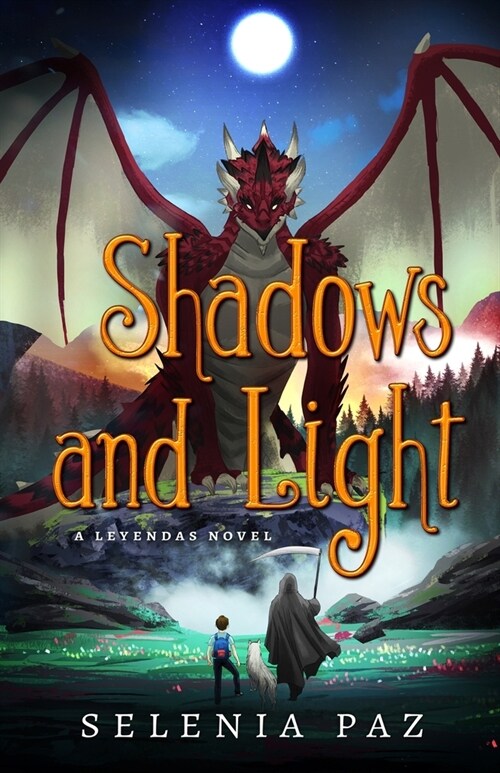 Shadows and Light (Paperback)