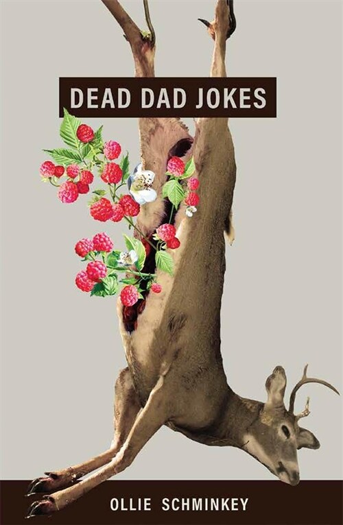 Dead Dad Jokes (Paperback)