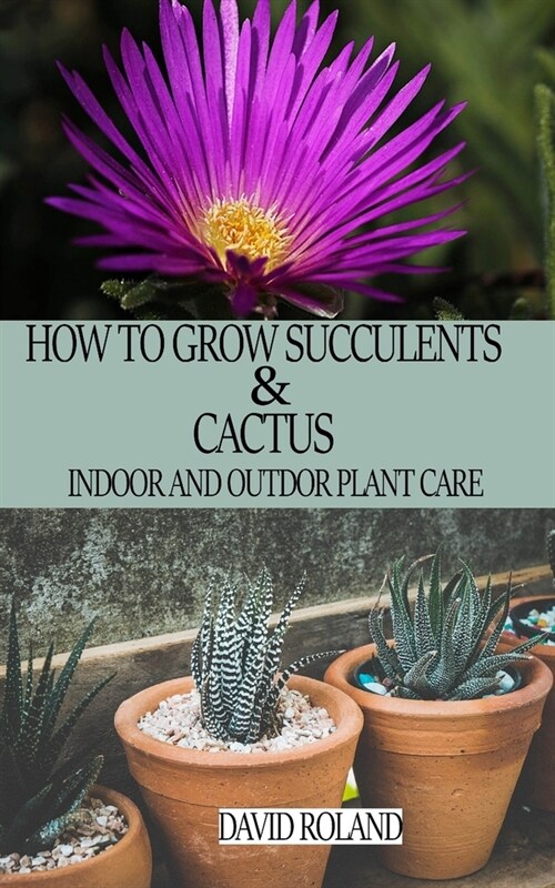 How to Grow Succulents and Cactus: Indoor and Outdoor Plant care (Paperback)