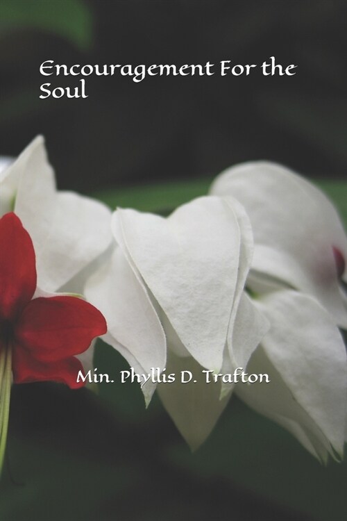 Encouragement for the Soul (Paperback)