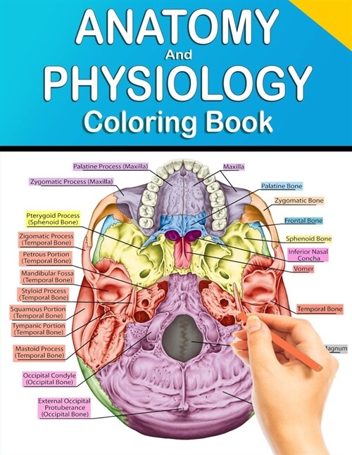Anatomy and Physiology Coloring Book: Human Anatomy Coloring Book & Workbook (Updated Edition). (Paperback)