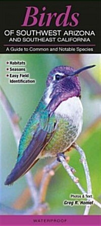 Birds of Southwest Arizona and Southeast California: A Guide to Common & Notable Species (Other)