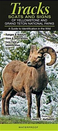 Tracks, Scats & Signs of Yellowstone & Grand Teton National Parks: A Guide to Identification in the Wild (Other)