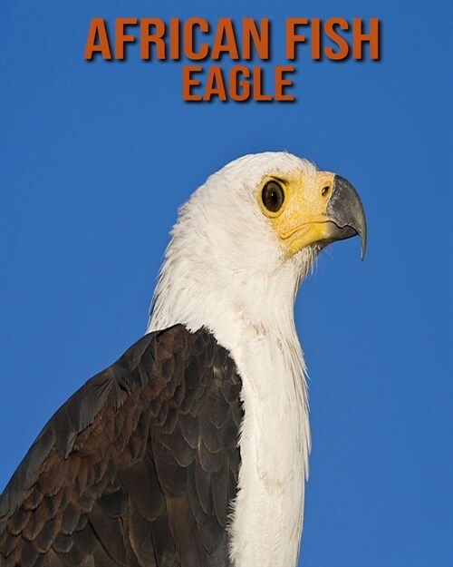 African Fish Eagle: African Fish Eagle: Childrens Books --- Amazing Pictures and Facts About African Fish Eagle (Paperback)