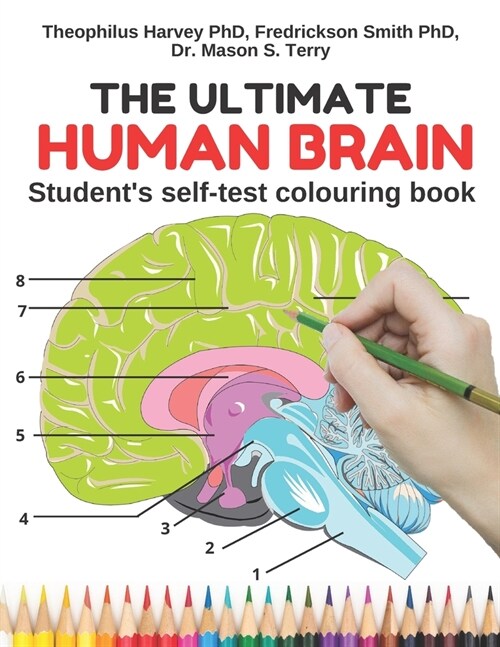 The Ultimate Human Brain: Students self-test colouring book. Get to really learn and remember the easy, fun and most effective way. Perfect gift (Paperback)