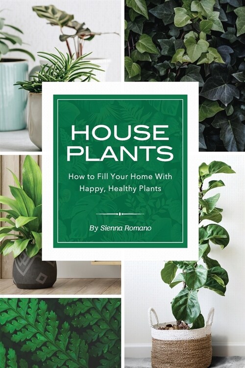 House Plants: How to Fill Your Home with Happy, Healthy Plants (Paperback)