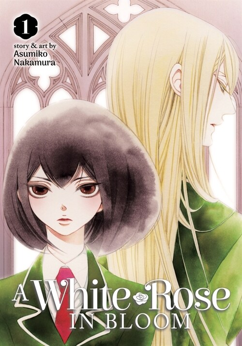 A White Rose in Bloom Vol. 1 (Paperback)