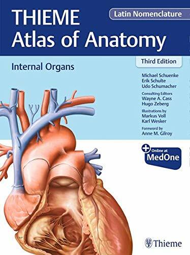 Internal Organs (Thieme Atlas of Anatomy), Latin Nomenclature (Hardcover, 3)