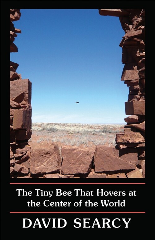 The Tiny Bee That Hovers at the Center of the World (Paperback)