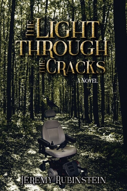 The Light Through the Cracks (Paperback)