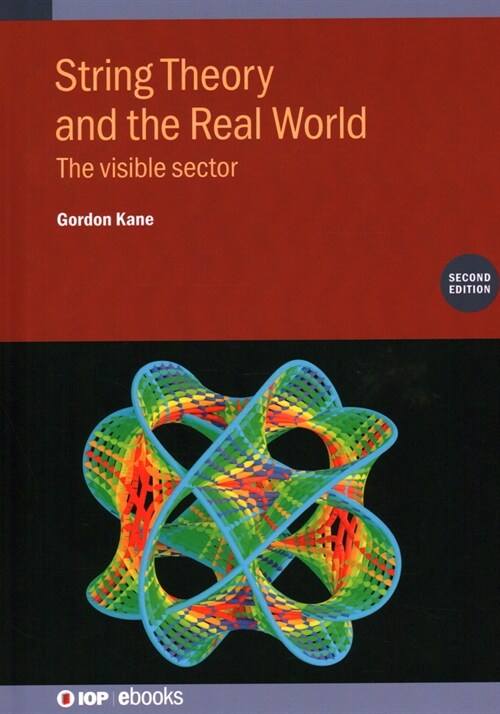 String Theory and the Real World (Second Edition) : The visible sector (Hardcover, 2 Revised edition)