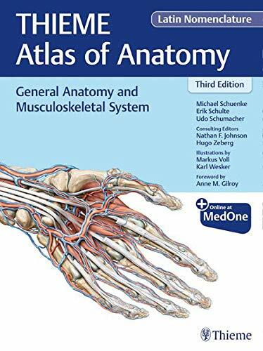 General Anatomy and Musculoskeletal System (Thieme Atlas of Anatomy), Latin Nomenclature (Hardcover, 3)