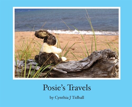 Posies Travels (Hardcover)