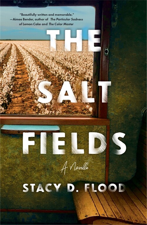 The Salt Fields (Paperback)