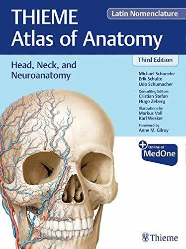 Head, Neck, and Neuroanatomy (Thieme Atlas of Anatomy), Latin Nomenclature (Hardcover, 3)