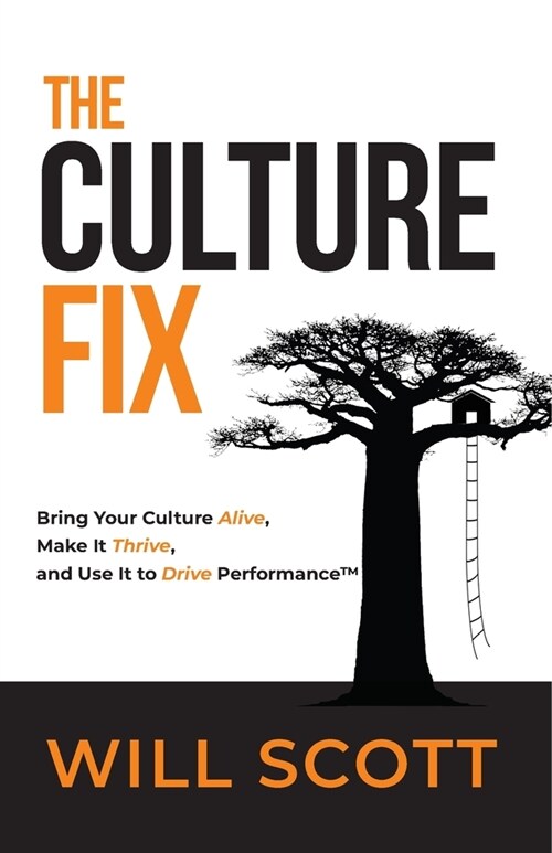 The Culture Fix: Bring Your Culture Alive, Make It Thrive, and Use It to Drive Performance (Paperback)