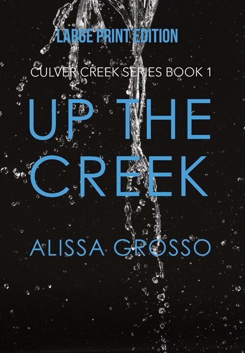 Up the Creek (LARGE PRINT) (Hardcover)