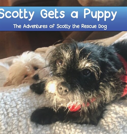 Scotty Gets a Puppy: The Adventures of Scotty the Rescue Dog (Hardcover)