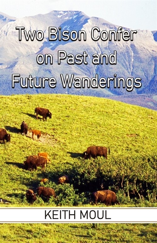 Two Bison Confer on Past and Future Wanderings (Paperback)