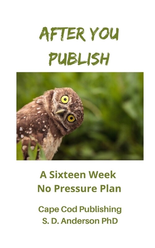 After You Publish: A Sixteen Week No Pressure Plan (Paperback)