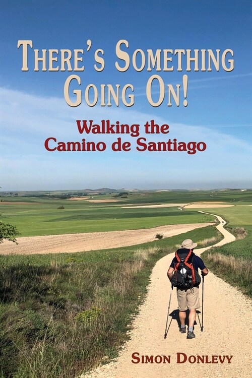 Theres something going on! : Walking the Camino de Santiago (Paperback)