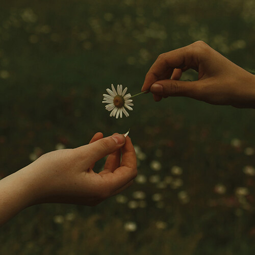 [수입] Goldmund - The Time It Takes