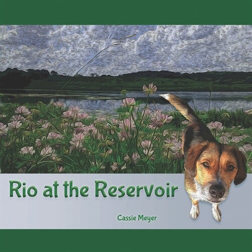 Rio at the Reservoir (Paperback)