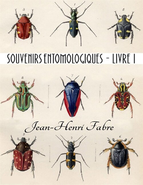 Souvenirs entomologiques: ?ude sur linstinct et les moeurs des insectes: Livre 1/2 (Paperback)